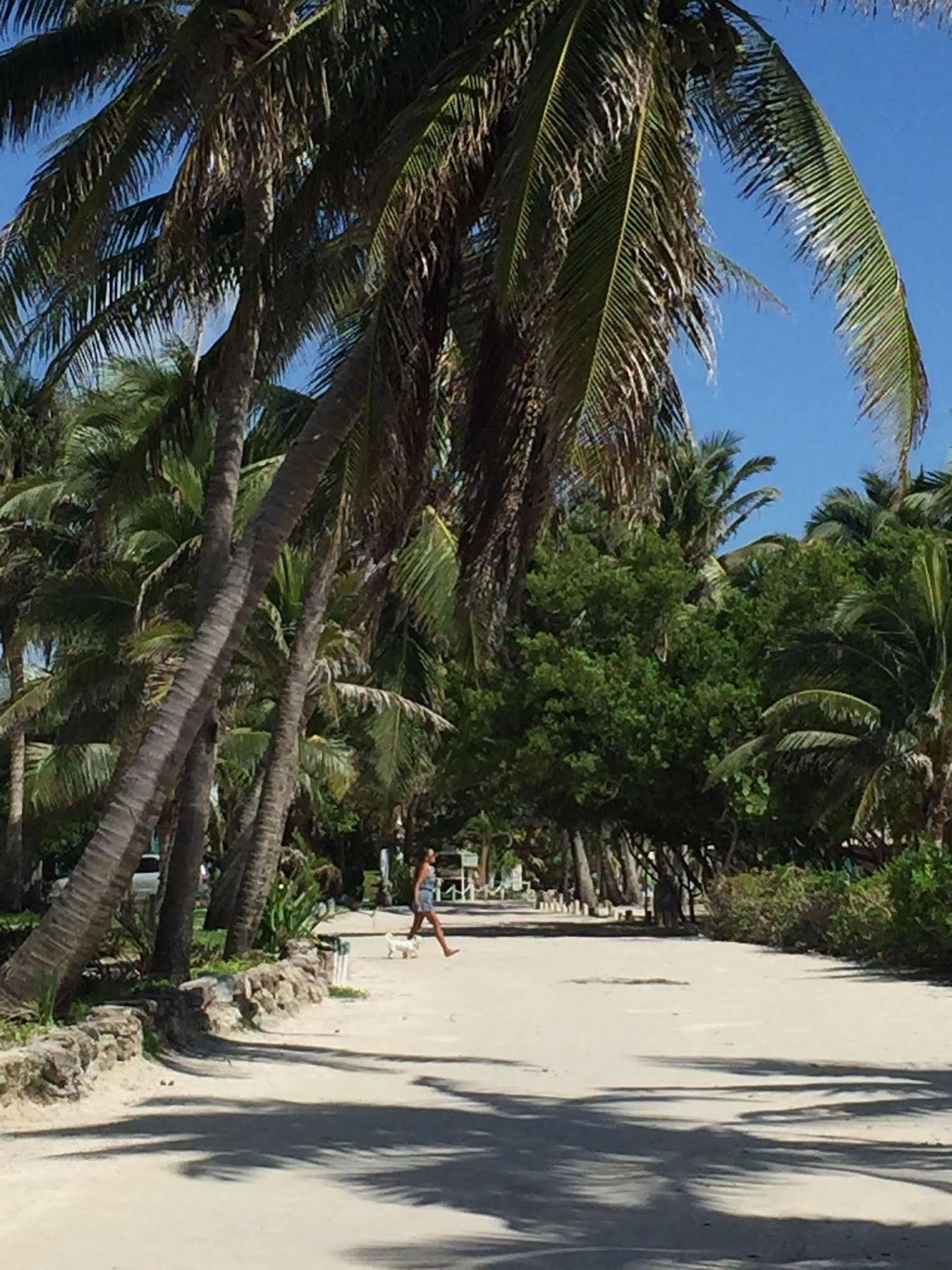 Отель Caye Casa Сан-Педро Экстерьер фото